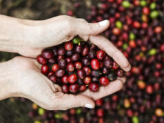 Antes de correr: Un café, por favor