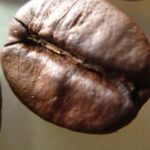 destacada2