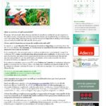 20-08-2015- comunicarseweb.com.ar