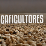 caficultores-pb