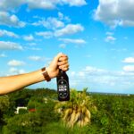 cold-brew-baja