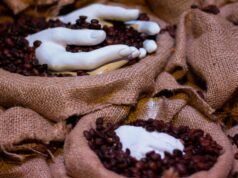 Arte en la Feria Exigí Buen Café 2017