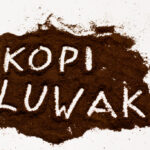 kopiluwak