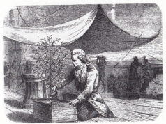 De robos y amantes: la historia del café