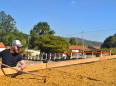 Giuliano Catalano, ganador del 5° Concurso de Baristas EBC: «En Brasil aprendí mucho sobre el trabajo de los productores»