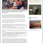 _file_imagen_url_137281058_01