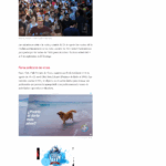 _file_img-136990501-01-26cc0cfc-ed18-4840-afa0-a5093bd2fe7c