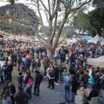 FOTOS FECA (1)