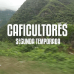 caficultores_2