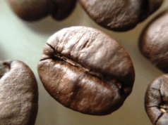 El café previene el deterioro cognitivo