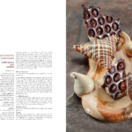 Dessert – Vineet Bhatia_Peshawari Samosa Coffee Shrikhand