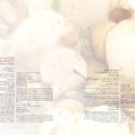 Main – Paco Perez_ Penny Bun And Lavazza Coffee Gnocchi