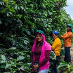 Día del café homenaje a los agricultores