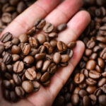 granos-cafe-mano-cafe-tostado-grano_73523-465