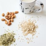 Leche vegetal