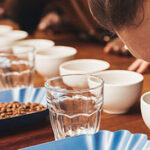coffee-cupping-smelling copia